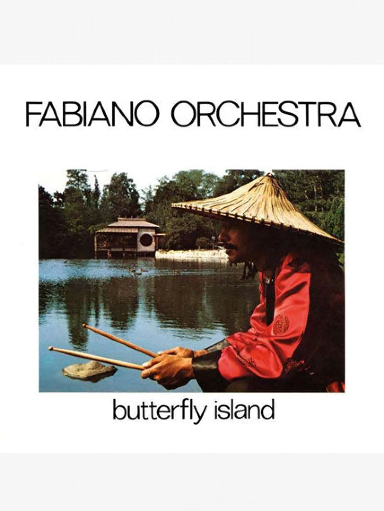 Music Fabiano Orchestra - Butterfly island LP^Women Music | Music