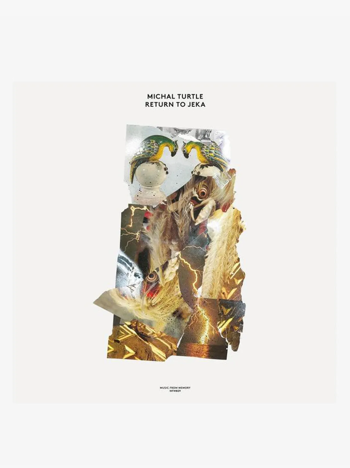 Music Michal Turtle - Return To Jeka - LP^Women Music | Music