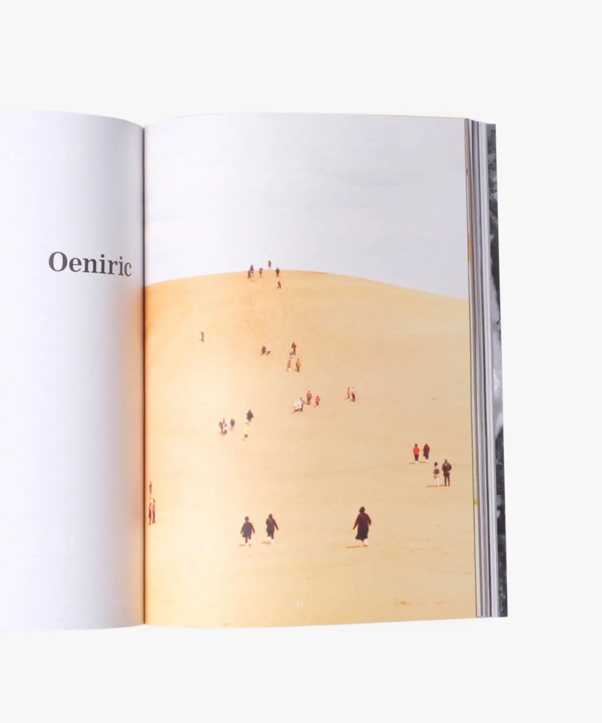 Magazines The Plant Issue 11^Women Magazines | Magazines