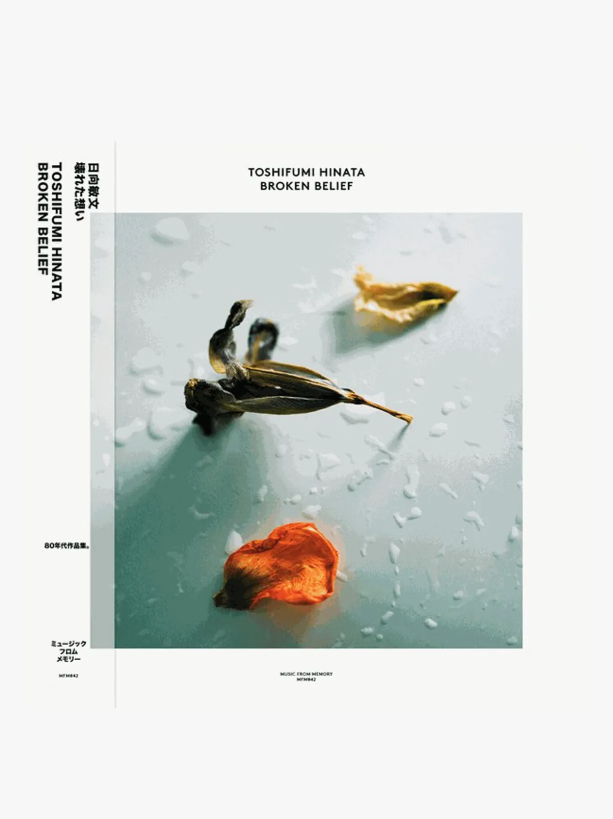 Music Toshifumi Hinata - Broken Belief LP^Women Music | Music